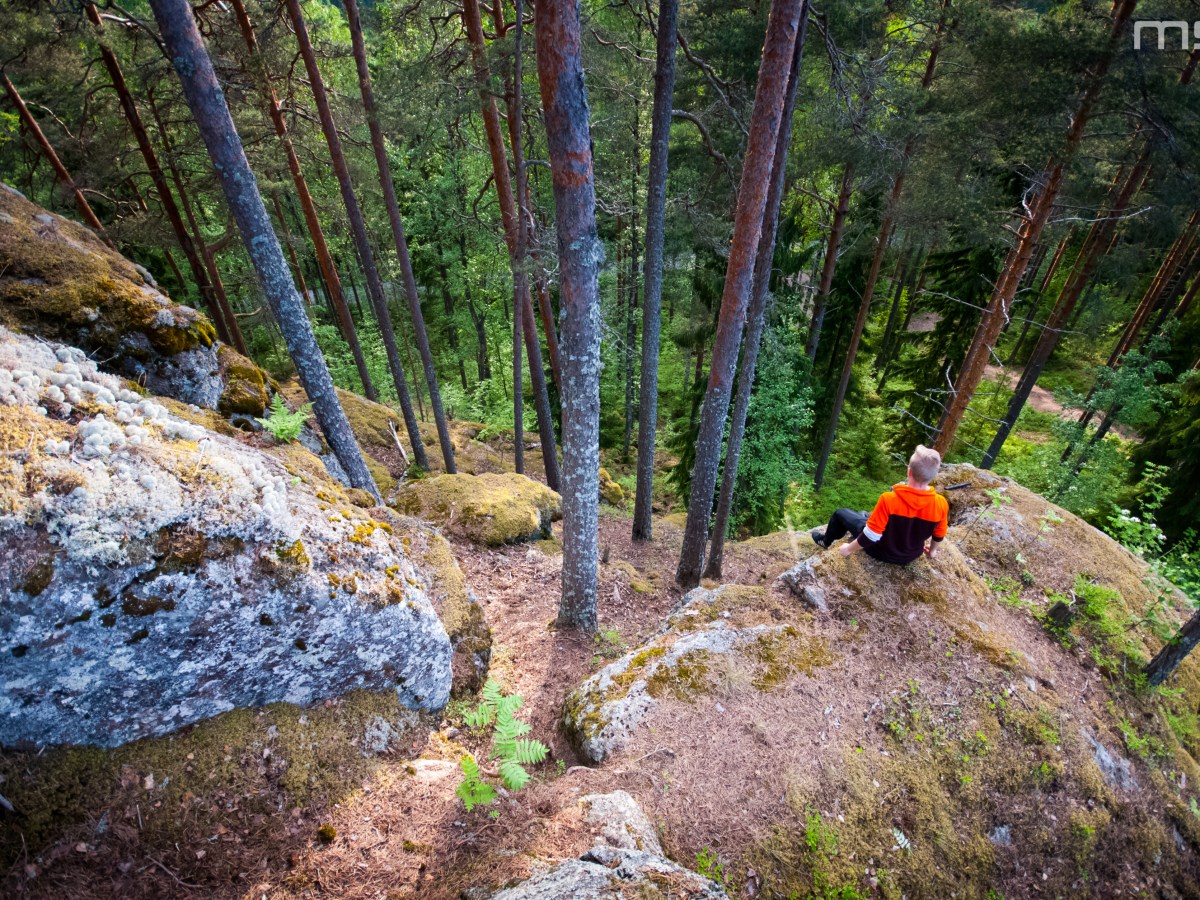 Taipalsaaren Linnavuori