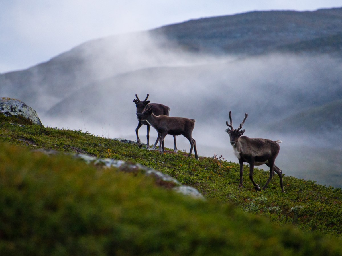 Kuukausi reissussa #1