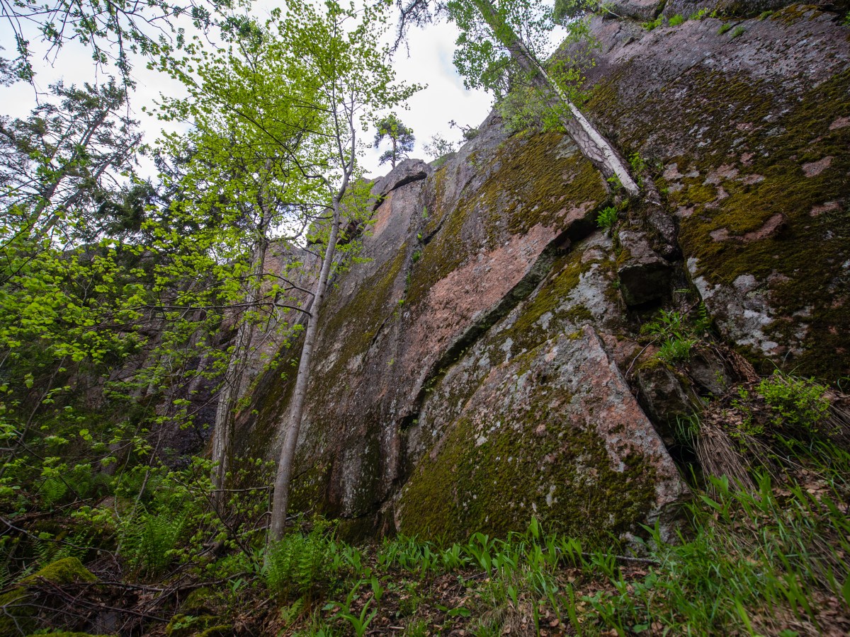 Viikonloppu sateita väistellen